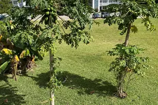 72 Newport D, Deerfield Beach, FL 33442 - Photo 53