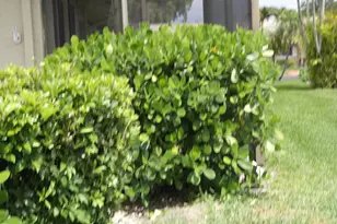 18890 Candlewick Dr, Boca Raton, FL 33496 - Photo 17