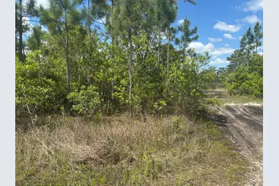 0 Holopaw Groves Road, Saint Cloud, FL 34772 - Photo 1