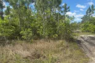 0 Holopaw Groves Rd, Saint Cloud, FL 34772 - Photo 1
