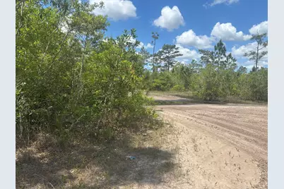 0 Holopaw Groves Road, Saint Cloud, FL 34772 - Photo 1