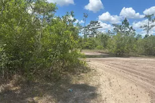 0 Holopaw Groves Rd, Saint Cloud, FL 34772 - Photo 1
