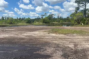 0 Holopaw Groves Rd, Saint Cloud, FL 34772 - Photo 1