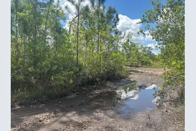 0 Holopaw Groves Road, Saint Cloud, FL 34772 - Photo 1