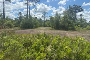 0 Holopaw Groves Rd, Saint Cloud, FL 34772 - Photo 1