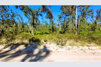 Lot 56 NW 29th Loop, Jennings, FL 32053 - Photo 17