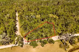 Lot 56 NW 29th Loop, Jennings, FL 32053 - Photo 1