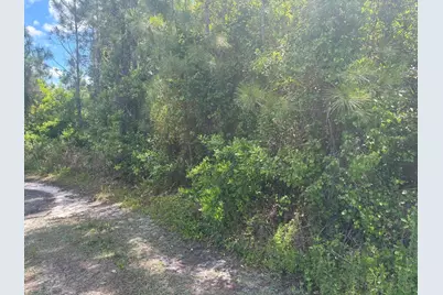 0 Holopaw Groves Road, Saint Cloud, FL 34772 - Photo 1