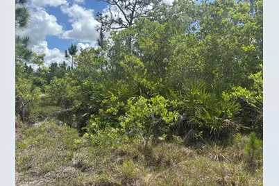 0 Holopaw Groves Road, Saint Cloud, FL 34772 - Photo 1