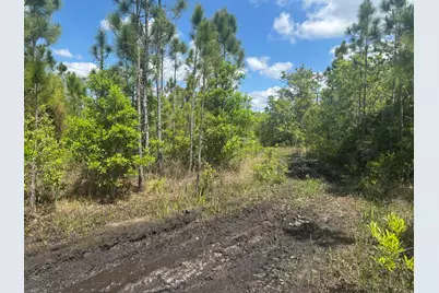 0 Holopaw Groves Road, Saint Cloud, FL 34772 - Photo 1