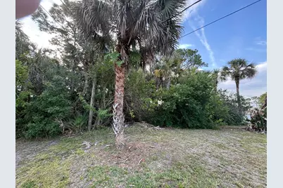 556 NE Burlington Ave Avenue NE, Palm Bay, FL 32907 - Photo 5