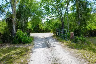 17135 NW 190th Rd, Okeechobee, FL 34972 - Photo 3