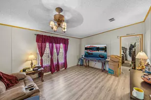 11404 Lithia Pinecrest Rd, Lithia, FL 33547 - Photo 11