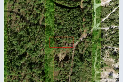 0 Holopaw Groves Road, Saint Cloud, FL 34772 - Photo 3
