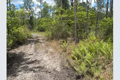 0 Holopaw Groves Road, Saint Cloud, FL 34772 - Photo 1