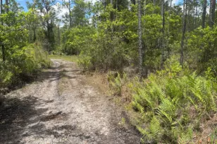 0 Holopaw Groves Rd, Saint Cloud, FL 34772 - Photo 1