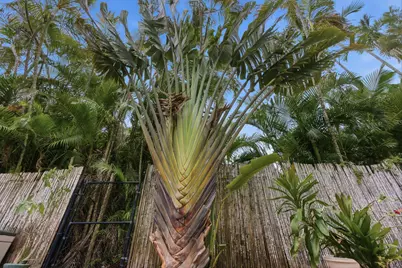 10740 NW 19th Street, Coral Springs, FL 33071 - Photo 39