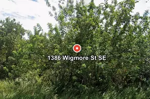 1386 SE Wigmore St Street SE, Palm Bay, FL 32909 - Photo 1