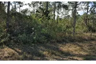 1042 Summa Blvd, Lehigh Acres, FL 33974 - Photo 1