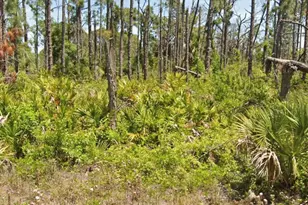 7430 Coach Rd, Port Charlotte, FL 33981 - Photo 1