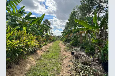 20915 Antoinette Street, Loxahatchee, FL 33470 - Photo 15