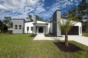 41834 Mango St, Eustis, FL 32736 - Photo 3