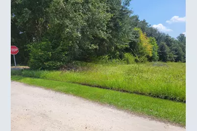 00 SW 67th Street, Lake Butler, FL 32054 - Photo 3