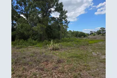 232 Silver Avenue, Lake Placid, FL 33852 - Photo 5