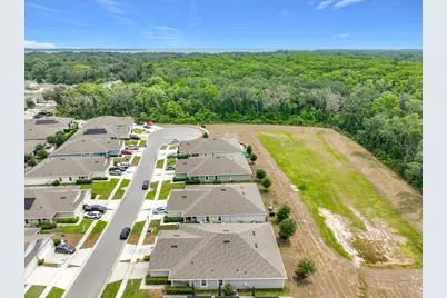 20029 Royal Tern Court, Leesburg, FL 34748 - Photo 57