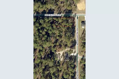 Tbd NW Redwood Drive, Dunnellon, FL 34431 - Photo 1