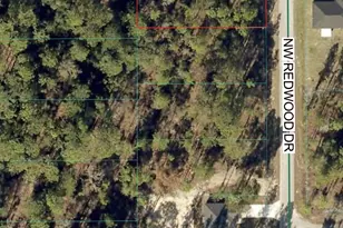 Tbd NW Redwood Dr, Dunnellon, FL 34431 - Photo 1