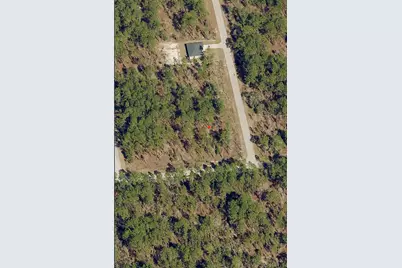 Tbd SW Buena Vista Road, Dunnellon, FL 34431 - Photo 3