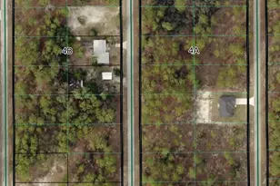 Tbd SW Buena Vista Rd, Dunnellon, FL 34431 - Photo 1