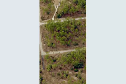 Tbd SW Buena Vista Road, Dunnellon, FL 34431 - Photo 5