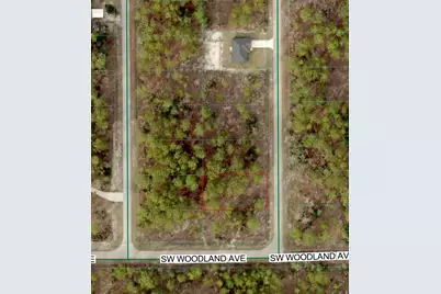 Tbd SW Buena Vista Road, Dunnellon, FL 34431 - Photo 1