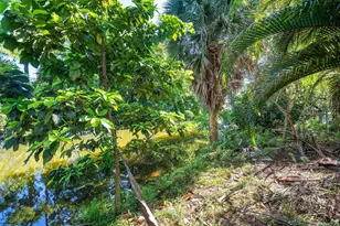 299 Sandpiper Ave, Royal Palm Beach, FL 33411 - Photo 33
