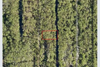 0 Dahlia Rd Road, Deland, FL 32724 - Photo 3