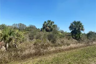 19580 NW 268th St, Okeechobee, FL 34972 - Photo 1