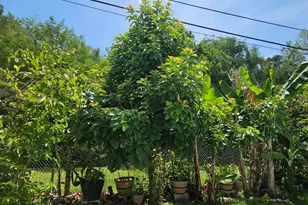 4021 E Shore Rd, Miramar, FL 33023 - Photo 25