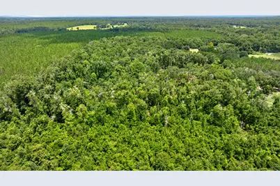 694 SW Quarter Lane, Fort White, FL 32038 - Photo 23