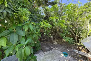 2926 Hiawatha Ave, West Palm Beach, FL 33409 - Photo 13