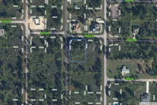 350 Norseman Ave NW, Lake Placid, FL 33852 - Photo 1