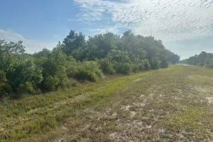 15729 NW 294th St, Okeechobee, FL 34972 - Photo 1