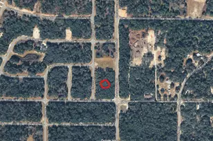 Tbd SW 146th Ln Rd, Ocala, FL 34473 - Photo 1