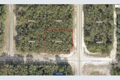 Tbd SW 146th Ln Road, Ocala, FL 34473 - Photo 3