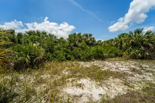 2392 SW Madden Ave Ave, Palm Bay, FL 32908 - Photo 53