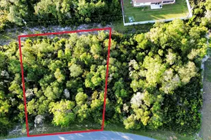 Tbd SW 37th Circle, Ocala, FL 34473 - Photo 1