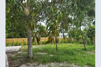 707 Hampton Road, West Palm Beach, FL 33405 - Photo 29