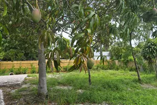707 Hampton Rd, West Palm Beach, FL 33405 - Photo 29