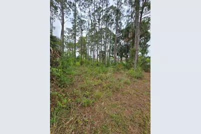 1836 Pindo Court NW, Palm Bay, FL 32909 - Photo 9